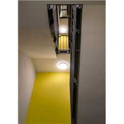Wever & Ducré Rob IP44 3.5 Lámpara de techo