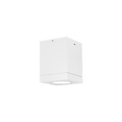 Wever & Ducré Tube Carré 1.0 LED Lámpara de techo