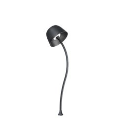 Wever & Ducré Pole 600 Curved Swam