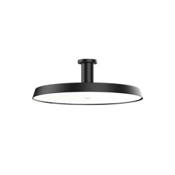 Wever & Ducré Roomor Office Surface 1.0 Lámpara de techo