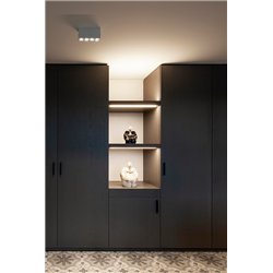 Wever & Ducré Pirro Spot Surface 4.0 Lámpara de techo