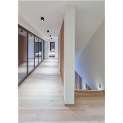 Wever & Ducré Ray 1.0 LED Lámpara de techo