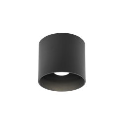 Wever & Ducré Ray Outdoor 1.0 Lámpara de techo