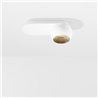 Modular Marbul Surface Adjustable 109 1x LED DI | Lámpara de techo / Lámpara de pared