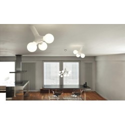 Next DNA Wall / Ceiling NE 1033-15-0101