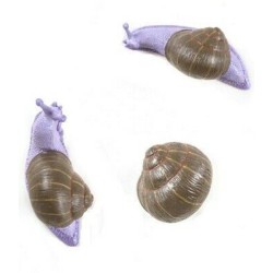 SELETTI Snail hanger 1 - sleeping - color