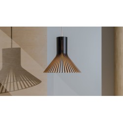 SECTO DESIGN Puncto 4203 Pendant